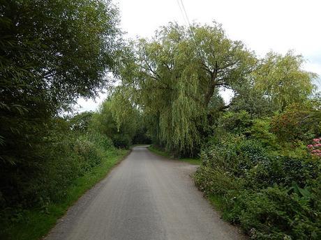 Portishead to Hewish