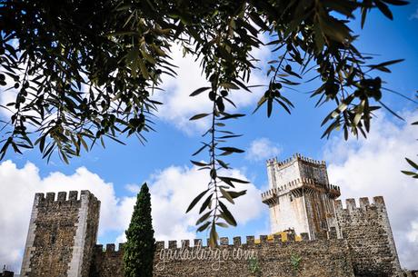 Beja (Alentejo, Portugal) (14)