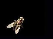 Opinion Battles Round Results