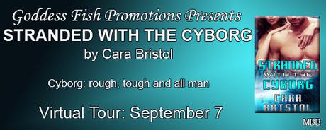 Stranded with the Cyborg by Cara Bristol    @goddessfish