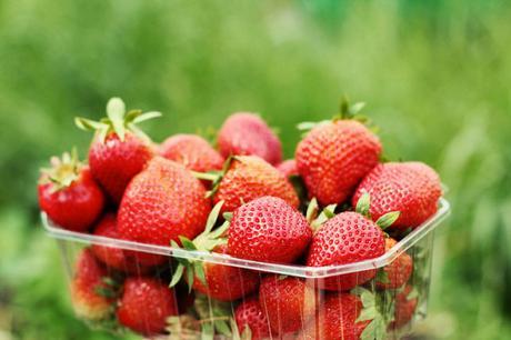 35 Super Easy Ways to Eat Environmentally Friendly strawberries-in-organic-farm