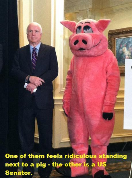 McCain & pig