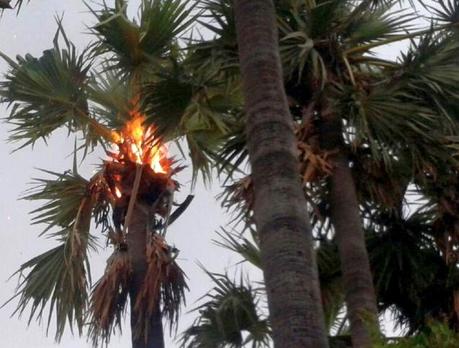 lightning rampage - killing spree in Andhra Pradesh