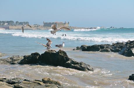 Praia de Matosinhos (3)