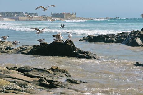 Praia de Matosinhos (4)