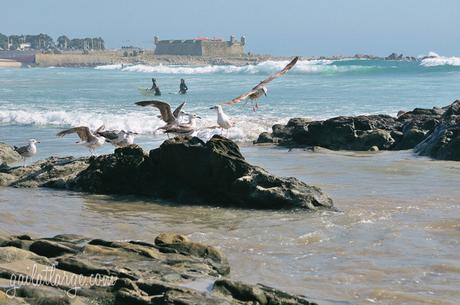 Praia de Matosinhos (5)