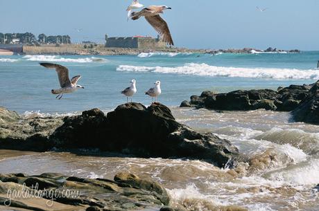 Praia de Matosinhos (1)