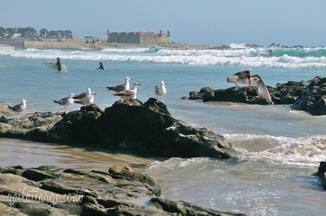 Praia de Matosinhos (6)