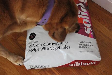 Solid Gold Chicken and Brown Rice dog food review