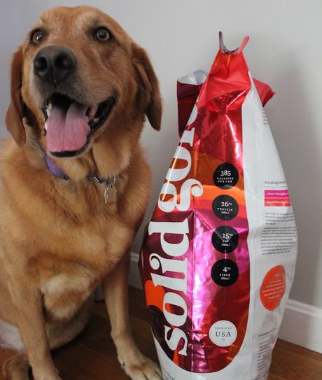 dog's 30 day challenge with solid gold's dog food 