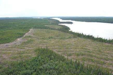 Native tribe fights to save Boreal forest in Quebec