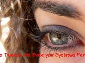 Tweeze Shape Your Eyebrows Perfectly?