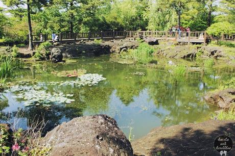 Tropical Hallim Park - Jeju, South Korea