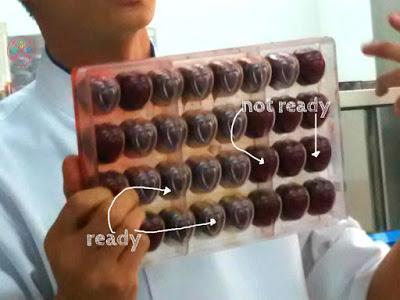 For The Love of Chocolates at the Academy of Pastry and Bakery Arts For The Love of Chocolates at the Academy of Pastry and Bakery Arts