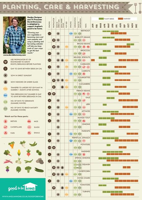 Vegetable Growing Cheat Sheet - Paperblog