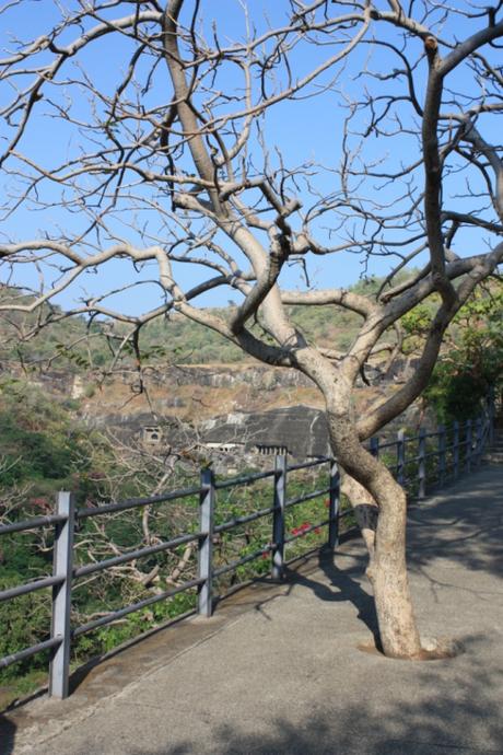 Taken in November of 2014 at Ajanta.