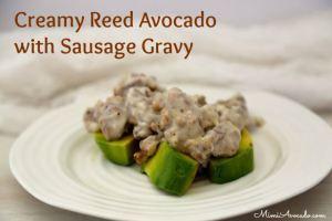 Creamy Reed Avocado with Sausage Gravy