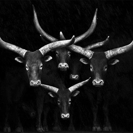 The Friday Fast 5: Five Things You Want to Check Out Right Now