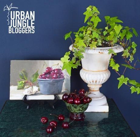Urban Jungle Bloggers- Plants & Art Month. Still Life by Penny German