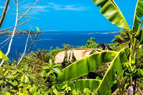 Lush greenery surrounds your view from the top of a bluff.