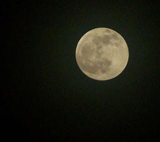 Total depravity in a baby