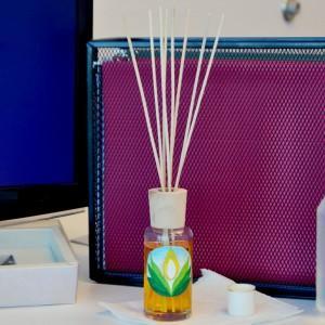 Natures Garden Reed Diffuser Kit