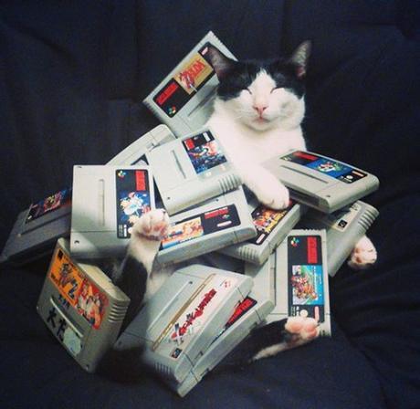 Top 10 Nerdy Nintendo Fanboy Cats