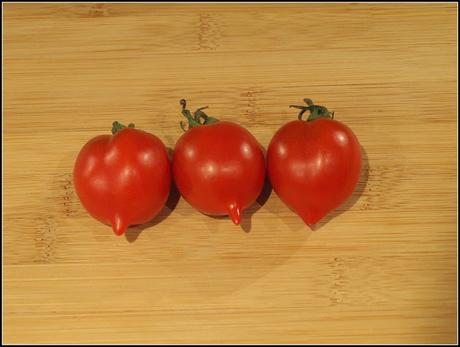 More Tomato harvests