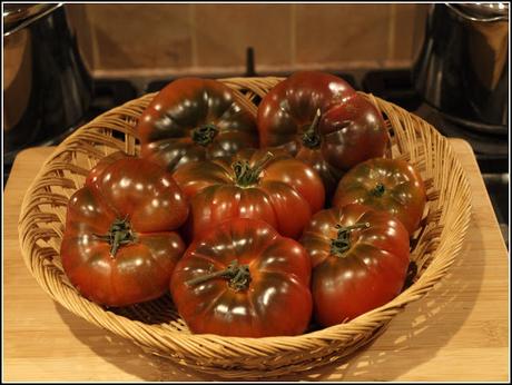 More Tomato harvests