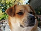 Broken Ribs: Personal Note