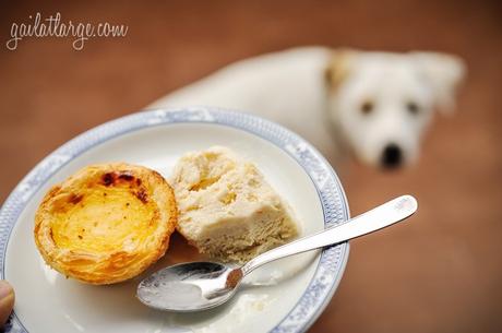 pastel de nata + pastel de nata ice cream