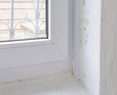 Extending Window Lifespan: Some Care Tips to Keep in Mind extending window lisfe span2