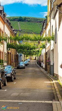 A pretty street in Germany's Mosel wine region