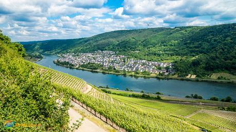 Beautiful view of town and vineyards along the Mosel river.