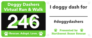 doggy_dashers_bib_front_and_back_v2