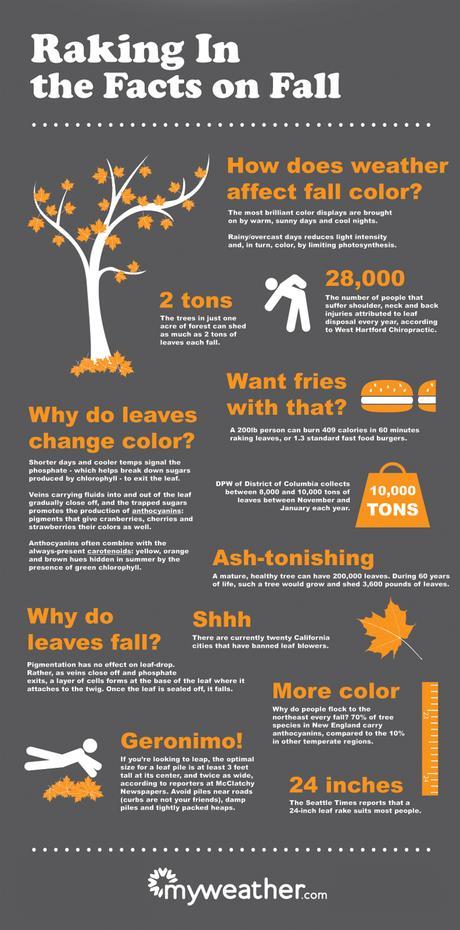 5 Things I Love About Fall #Infographic infographic