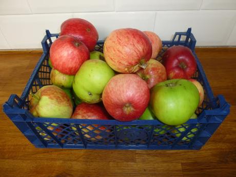 More Apples .....
