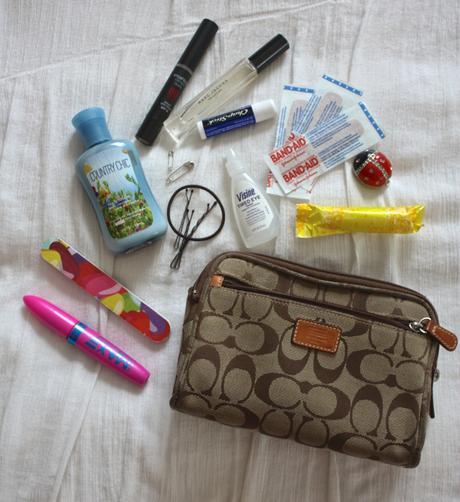 An Organized Handbag