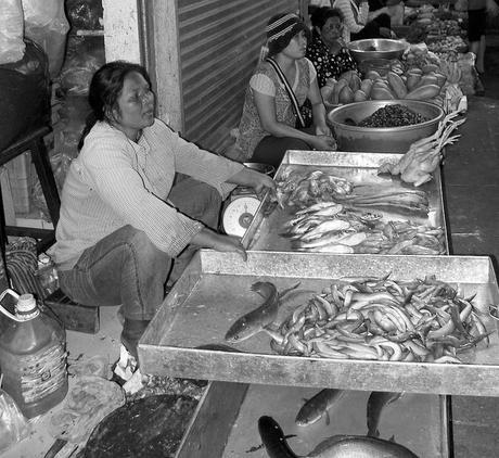 Fish seller