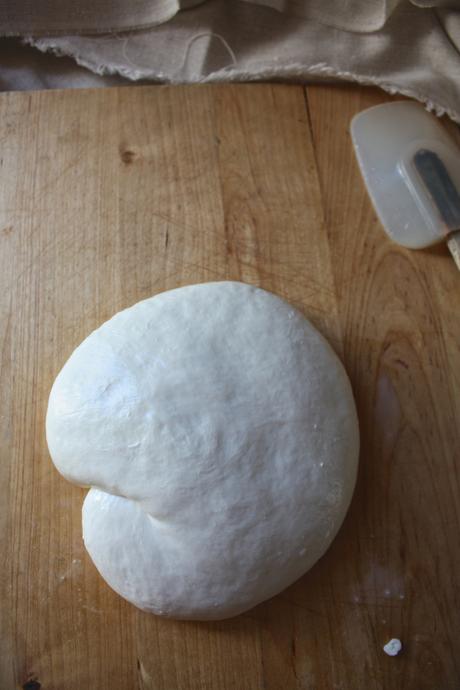 Homemade Mozzarella Cheese