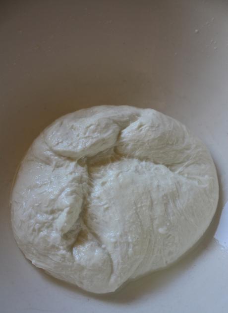 Homemade Mozzarella Cheese