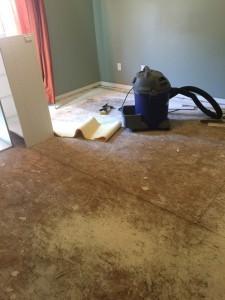 Our Net Zero Home Part Two – Busy, Busy Connor's Room Sans Carpet