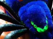 Wild Pets Spiders Review