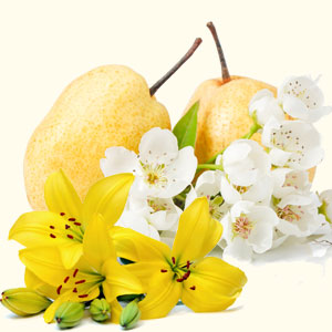 Asian Pear Lily Fragrance