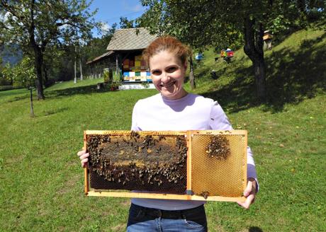 Holding live bees