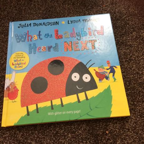 What the Ladybird did Next