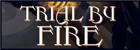 Trial By Fire (Schooled In Magic 7) by Christopher G. Nuttall