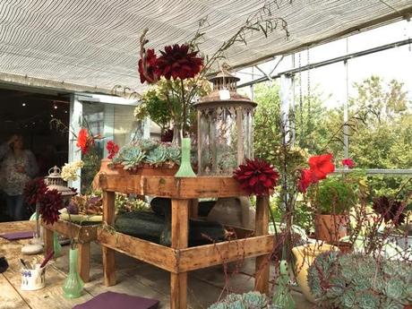 glasshouse display