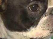 International Flight Diverted Pilot Save