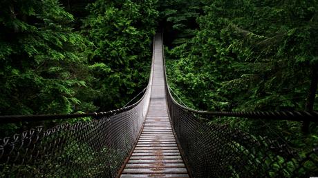 Capilano Suspension Bridge & Cliffwalk